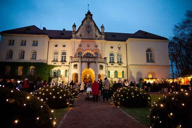 An illuminated castle in the evening mood. In front of it, small trees are decorated with Christmas lights. The facade of the castle is illuminated with spotlights.