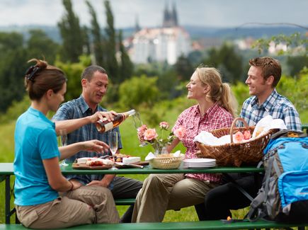 Four people sitting at a table drinking sparkling wine and eating, with Meissen's Albrechtsburg Castle in the background.